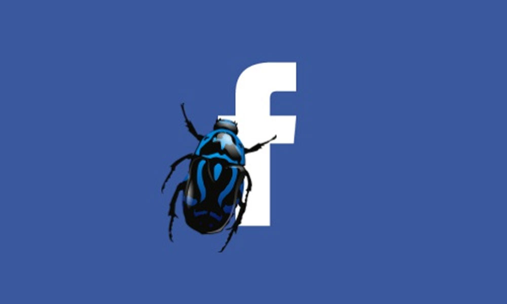 Facebook-Bug