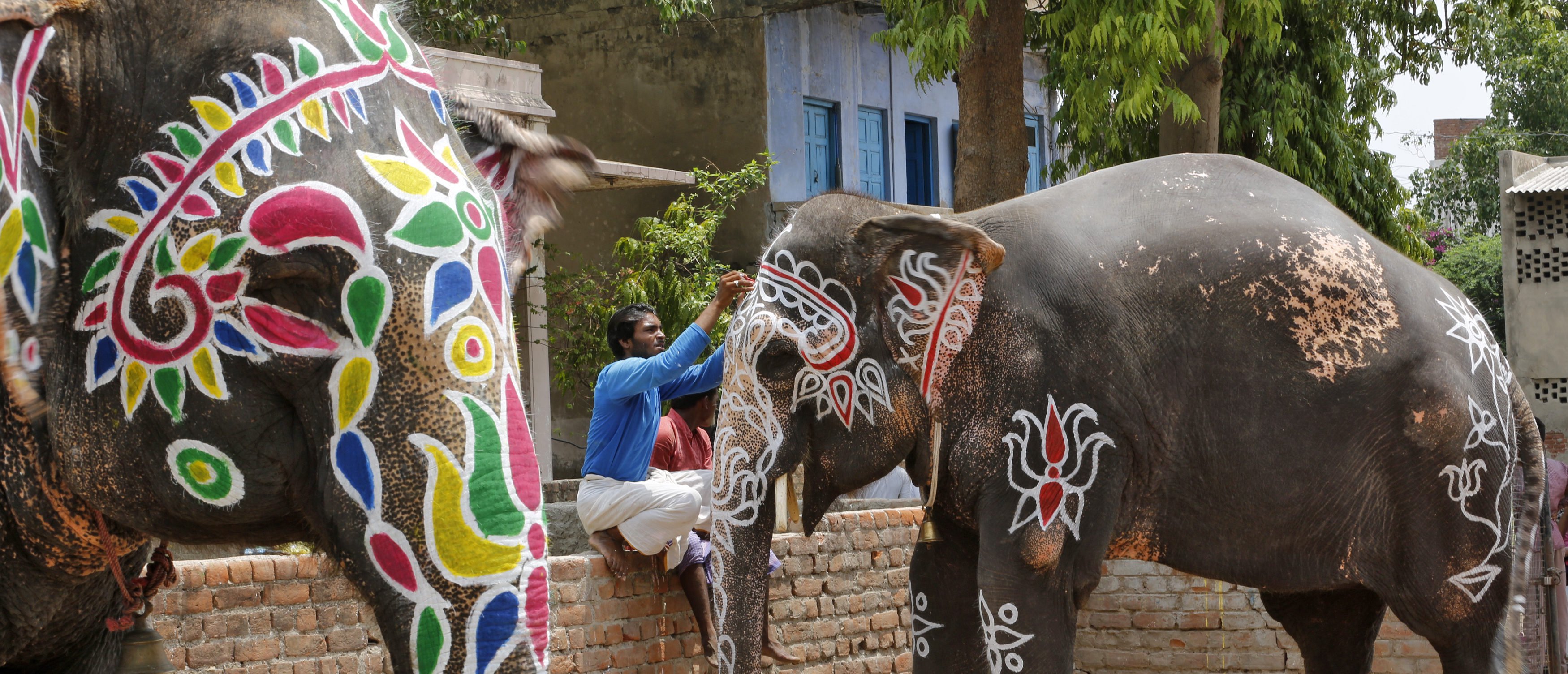 Индийские слоны живут. Индия слоны. Индийские слоны разрисованные. Слоны в индийской культуре.