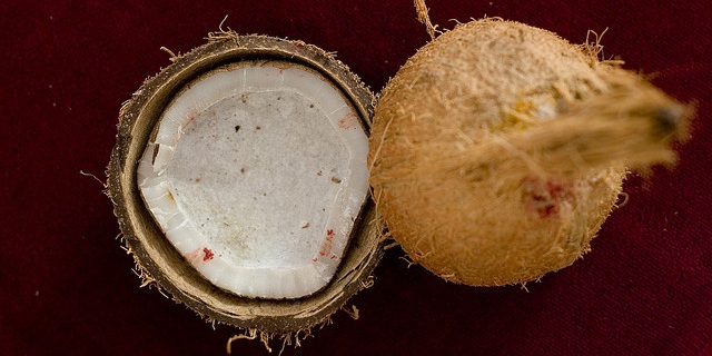 Coconut (1)