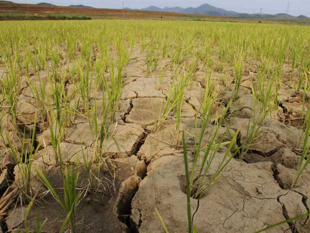 drought odisha
