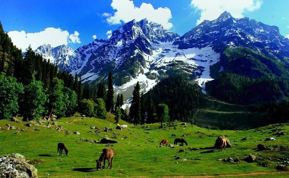 Beauty-of-Kashmir