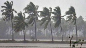 cyclone jawad