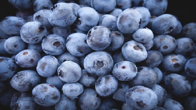  blue berry