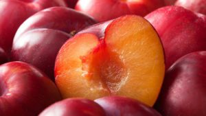 plum fruit