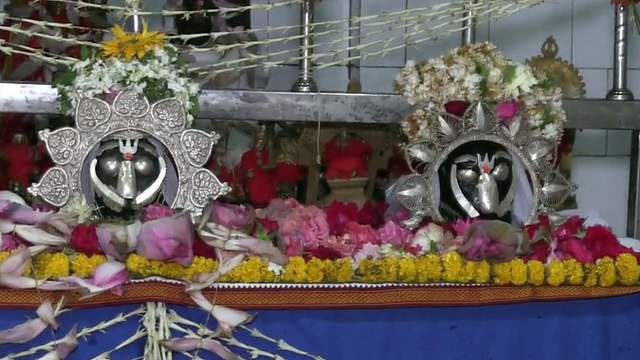 lord nrushingha