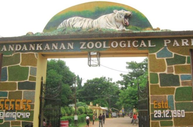 zoo
