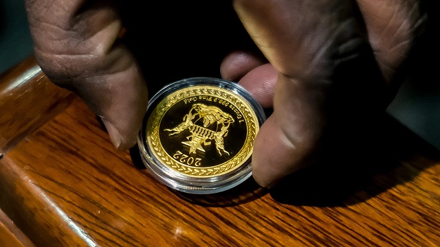 gold coin123